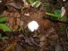 <img100*0:stuff/z/92105/5895/i1293474429_6.jpg>