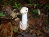 <img100*0:stuff/z/92105/5895/i1293474429_7.jpg>