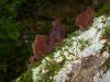 <img100*0:stuff/z/92105/5895/i1293474429_9.jpg>