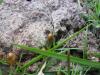 <img100*0:stuff/z/92105/5895/i1293476661_1.jpg>