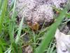 <img100*0:stuff/z/92105/5895/i1293476661_2.jpg>