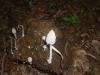 <img100*0:stuff/z/92105/5895/i1293476662_11.jpg>