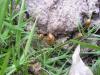 <img100*0:stuff/z/92105/5895/i1293476662_3.jpg>