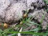<img100*0:stuff/z/92105/5895/i1293476662_4.jpg>