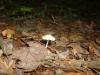<img100*0:stuff/z/92105/5895/i1293476662_7.jpg>