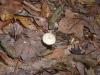 <img100*0:stuff/z/92105/5895/i1293476662_9.jpg>