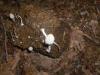 <img100*0:stuff/z/92105/5895/i1293476663_12.jpg>