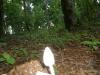 <img100*0:stuff/z/92105/5895/i1293476663_13.jpg>