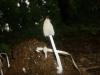 <img100*0:stuff/z/92105/5895/i1293476663_14.jpg>