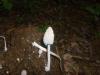 <img100*0:stuff/z/92105/5895/i1293476663_15.jpg>