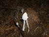 <img100*0:stuff/z/92105/5895/i1293476663_16.jpg>