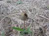 <img100*0:stuff/z/92105/5895/i1293478980_1.jpg>