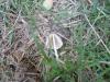 <img100*0:stuff/z/92105/5895/i1293478980_10.jpg>