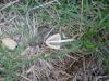 <img100*0:stuff/z/92105/5895/i1293478980_11.jpg>