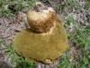 <img100*0:stuff/z/92105/5895/i1293478980_12.jpg>
