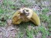 <img100*0:stuff/z/92105/5895/i1293478980_13.jpg>