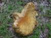 <img100*0:stuff/z/92105/5895/i1293478980_14.jpg>