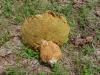 <img100*0:stuff/z/92105/5895/i1293478980_15.jpg>