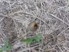 <img100*0:stuff/z/92105/5895/i1293478980_3.jpg>