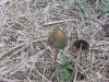 <img100*0:stuff/z/92105/5895/i1293478980_5.jpg>