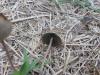 <img100*0:stuff/z/92105/5895/i1293478980_6.jpg>