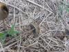 <img100*0:stuff/z/92105/5895/i1293478980_7.jpg>