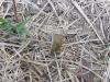 <img100*0:stuff/z/92105/5895/i1293478980_8.jpg>