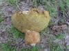 <img100*0:stuff/z/92105/5895/i1293478981_17.jpg>