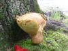 <img100*0:stuff/z/92105/5895/i1293528130_11.jpg>