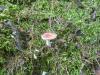 <img100*0:stuff/z/92105/5895/i1293528130_2.jpg>
