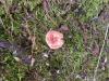 <img100*0:stuff/z/92105/5895/i1293528130_5.jpg>