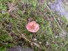 <img100*0:stuff/z/92105/5895/i1293528130_6.jpg>