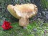 <img100*0:stuff/z/92105/5895/i1293528130_8.jpg>