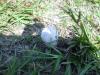 <img100*0:stuff/z/92105/5895/i1293528131_13.jpg>