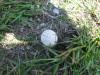 <img100*0:stuff/z/92105/5895/i1293528131_14.jpg>
