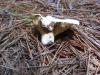 <img100*0:stuff/z/92105/5895/i1293528131_16.jpg>