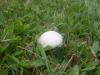 <img100*0:stuff/z/92105/5895/i1293575752_10.jpg>