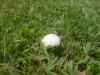 <img100*0:stuff/z/92105/5895/i1293575752_11.jpg>