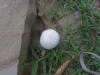<img100*0:stuff/z/92105/5895/i1293575752_2.jpg>