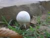 <img100*0:stuff/z/92105/5895/i1293575752_3.jpg>