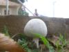 <img100*0:stuff/z/92105/5895/i1293575752_4.jpg>