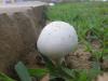 <img100*0:stuff/z/92105/5895/i1293575752_5.jpg>