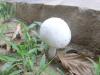 <img100*0:stuff/z/92105/5895/i1293575752_6.jpg>