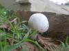 <img100*0:stuff/z/92105/5895/i1293575752_7.jpg>