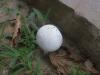 <img100*0:stuff/z/92105/5895/i1293575752_8.jpg>