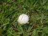 <img100*0:stuff/z/92105/5895/i1293575753_12.jpg>