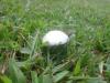 <img100*0:stuff/z/92105/5895/i1293575753_13.jpg>
