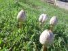<img100*0:stuff/z/92105/5895/i1293578191_10.jpg>