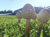 <img100*0:stuff/z/92105/5895/i1293578191_4.jpg>