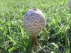 <img100*0:stuff/z/92105/5895/i1293578191_6.jpg>